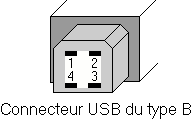 Port USB type B (mle)